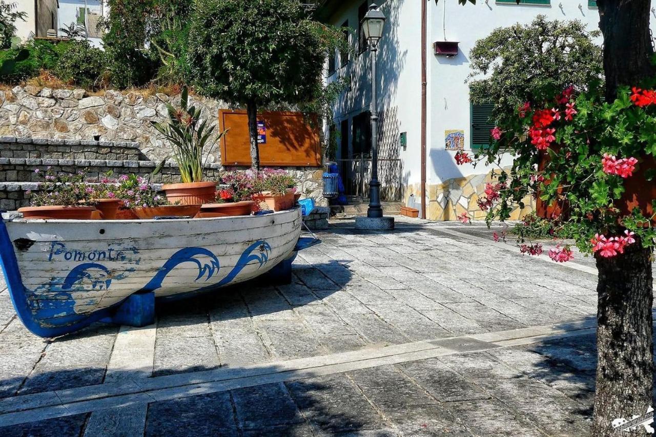 Casa Beppa Apartment Pomonte Exterior photo